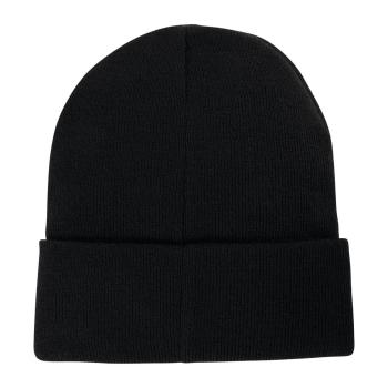 Preview: Borussia Dortmund BVB Logo Beanie schwarz
