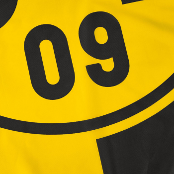 Preview: Borussia Dortmund BVB Hissfahne Tempel 100 x 200 cm mit 3 Karabinern