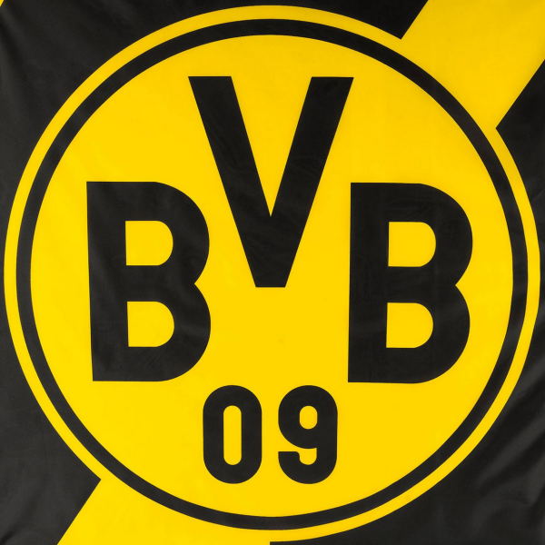Borussia Dortmund BVB Hissfahne Tempel 100 x 200 cm mit 3 Karabinern