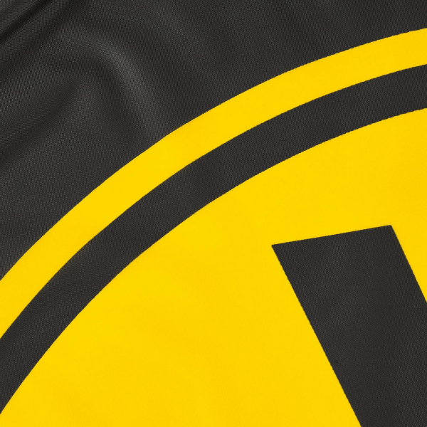 Borussia Dortmund BVB Hissfahne Tempel 100 x 200 cm mit 3 Karabinern